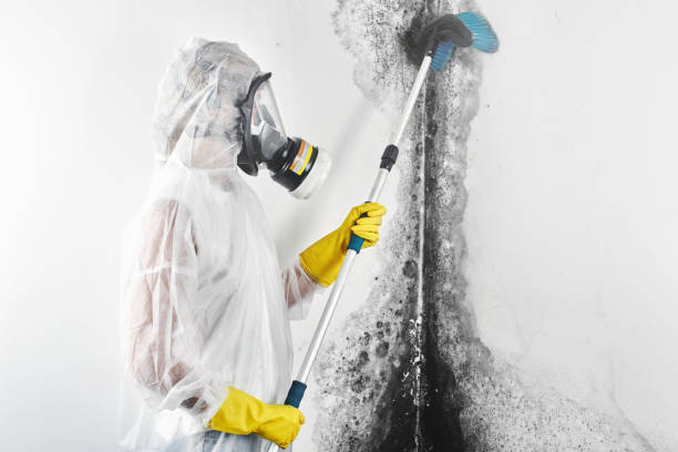 Mold Documentation for Insurance Claims in South Creek, WA