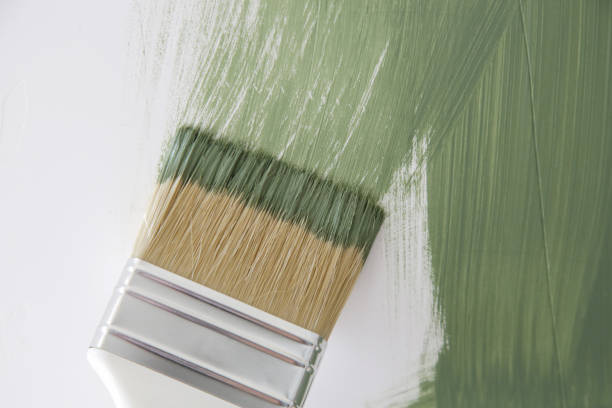 Best Mold Remediation for Healthcare Facilities  in South Creek, WA