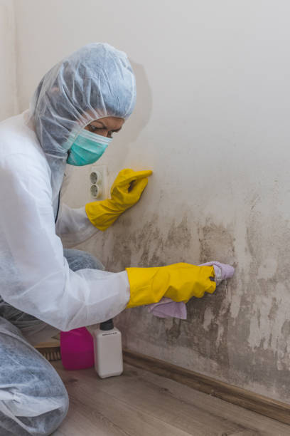 Best Forensic Mold Investigation  in South Creek, WA