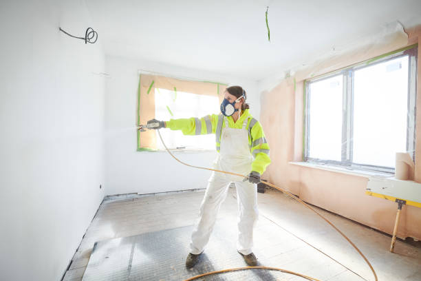 Best Attic Mold Removal  in South Creek, WA