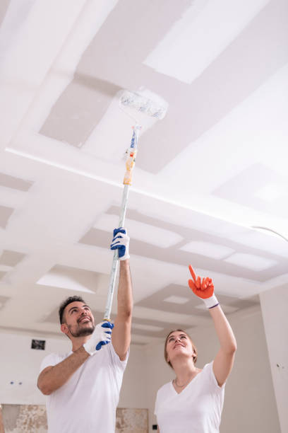 Best Black Mold Removal  in South Creek, WA