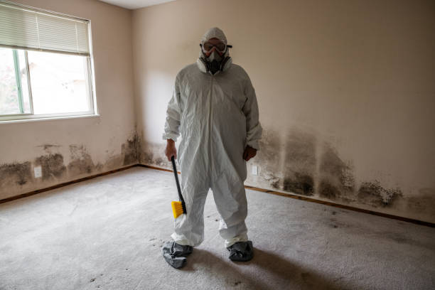 Best Post-Construction Mold Inspection  in South Creek, WA