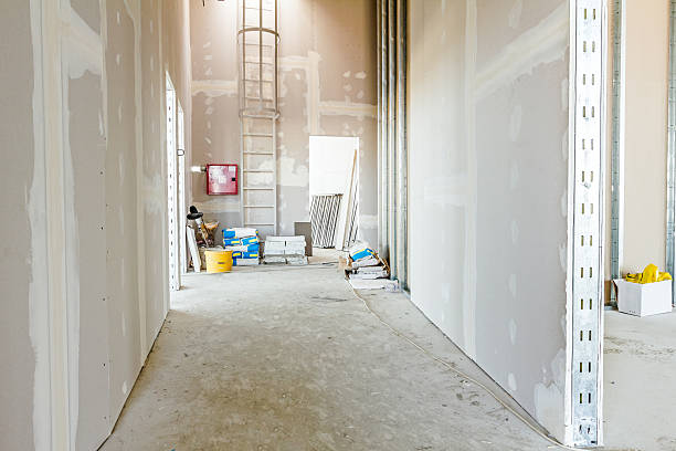 Best Mold Damage Restoration  in South Creek, WA