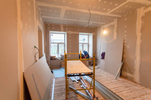 Best Basement Mold Removal  in South Creek, WA